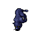 Midnight Panthers